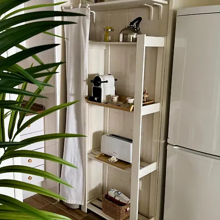 Apartment Max